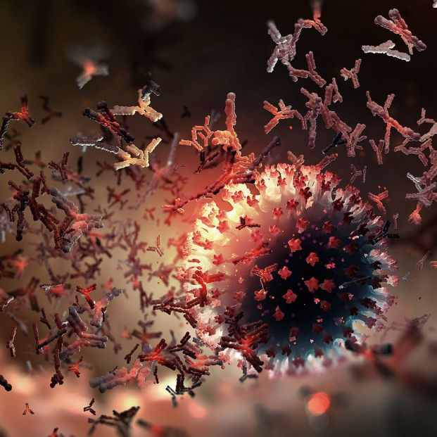 bigstock Vaccine Antibody Production453771697