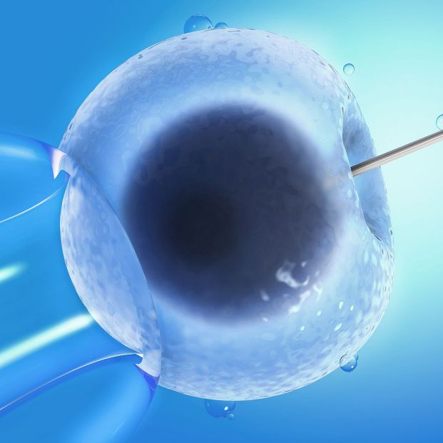 bigstock Artificial Insemination Or In456737237 bigstock Artificial Insemination Or In456737237