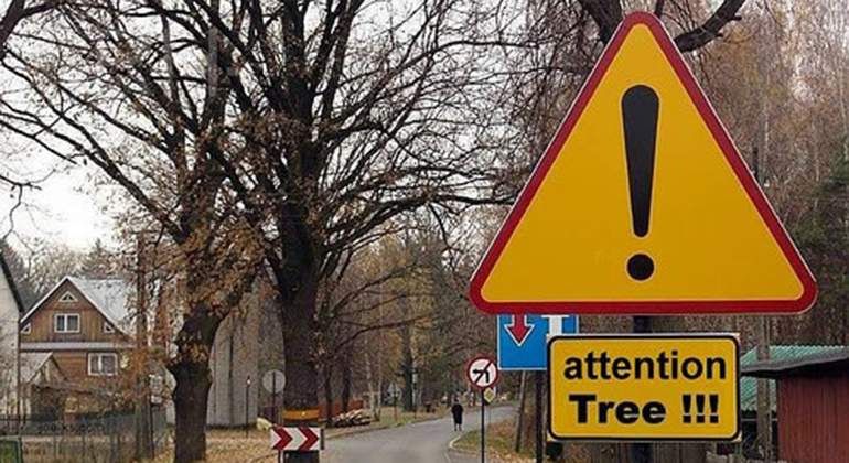 SE„AL 15 SE„AL 15