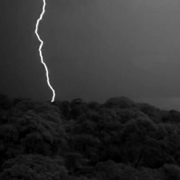 ¿Si te pones debajo de un árbol durante una tormenta hay más posibilidades de que te caiga un rayo? Foto: Europa Press