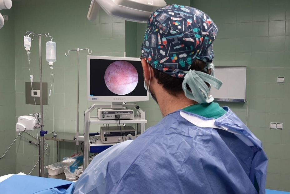 Cómo nos afectará el cáncer en 2023: los tumores más diagnosticados y su supervivencia Cómo nos afectará el cáncer en 2023: los tumores más diagnosticados y su supervivencia