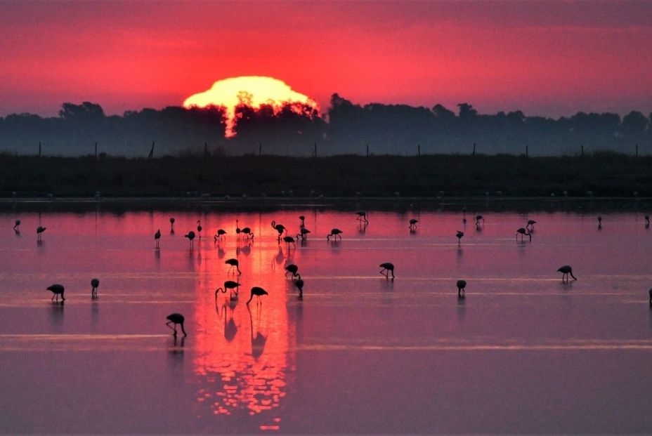 Estas son las 7 maravillas de España, según National Geographic Estas son las 7 maravillas de España, según National Geographic