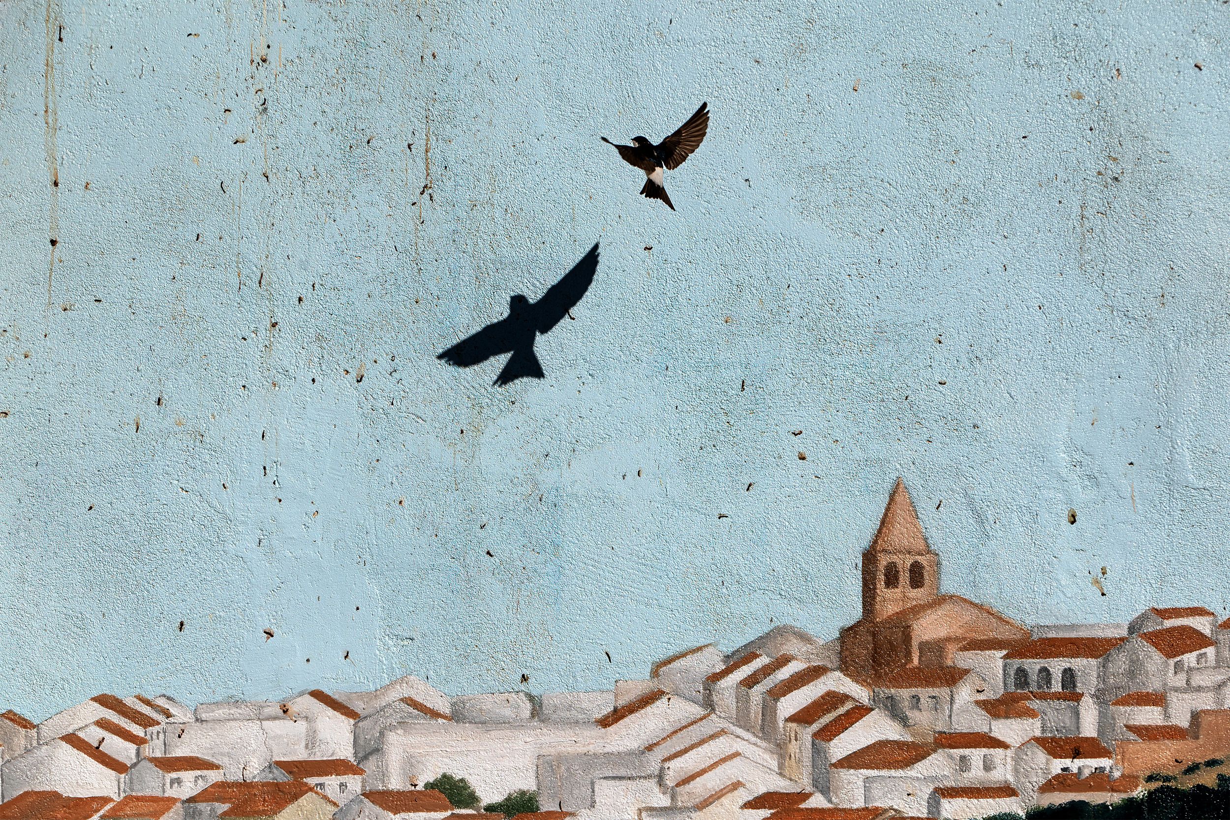 Jose Elias  Rodriguez House Martin