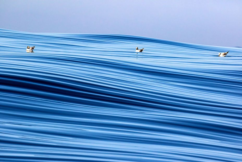 Daniel Lopez Velasco Texturas Marinas Daniel Lopez Velasco Texturas Marinas