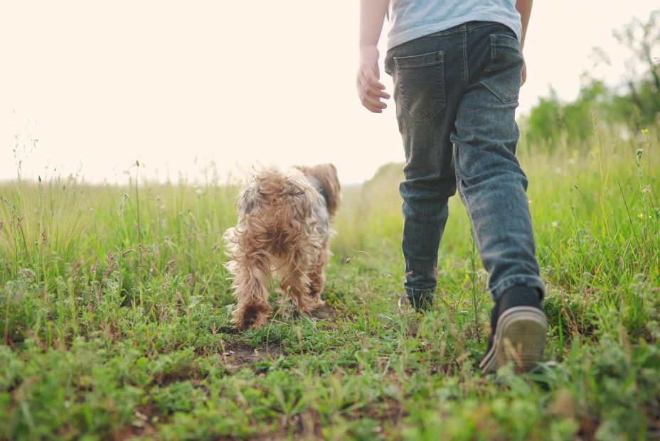 bigstock Child And Dog Walking In The P 456783907