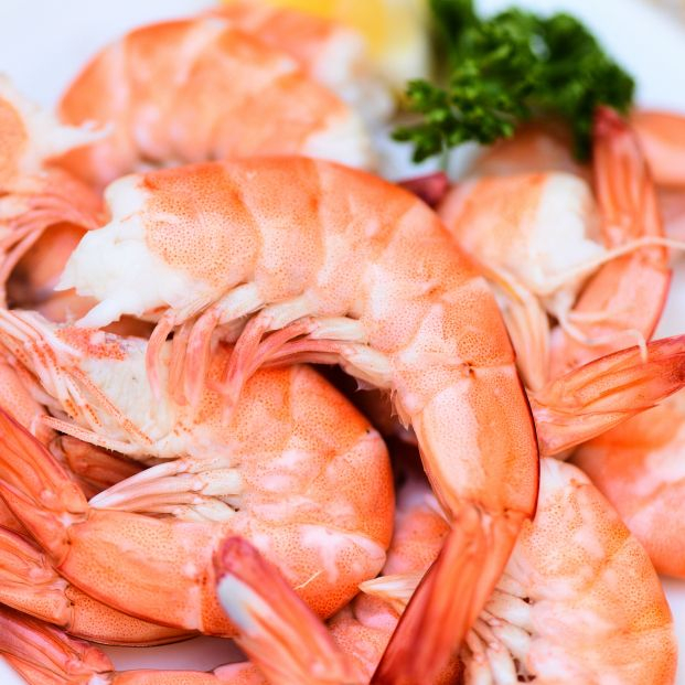 Acierta con el marisco estas navidades: tiempo de cocción para cada tipo. Foto: Bigstock Acierta con el marisco estas navidades: tiempo de cocción para cada tipo. Foto: Bigstock