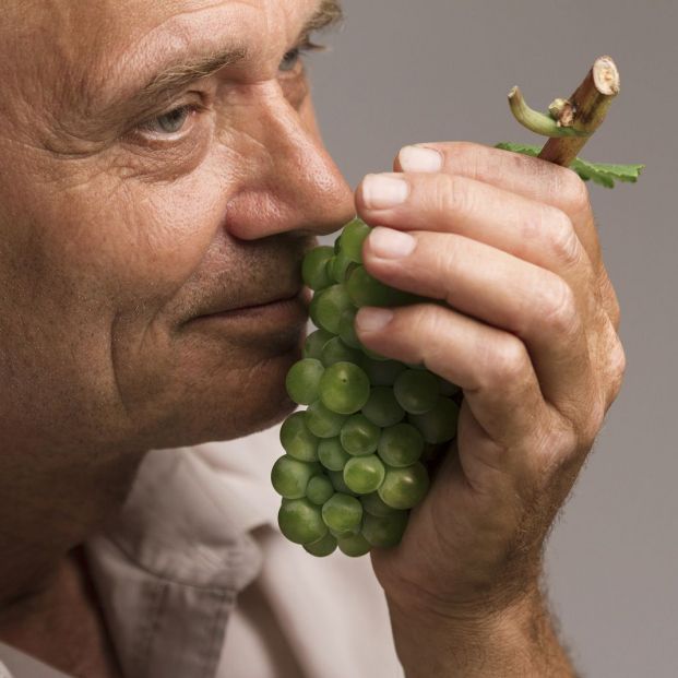 Test de Olfacción Test de Olfacción