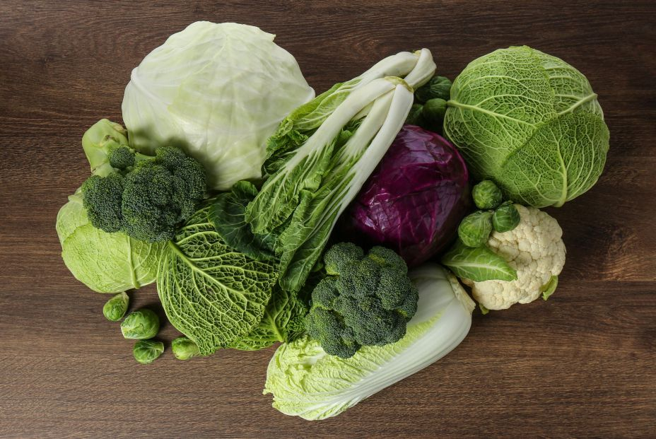 bigstock Many Different Fresh Ripe Cabb 466005053 bigstock Many Different Fresh Ripe Cabb 466005053