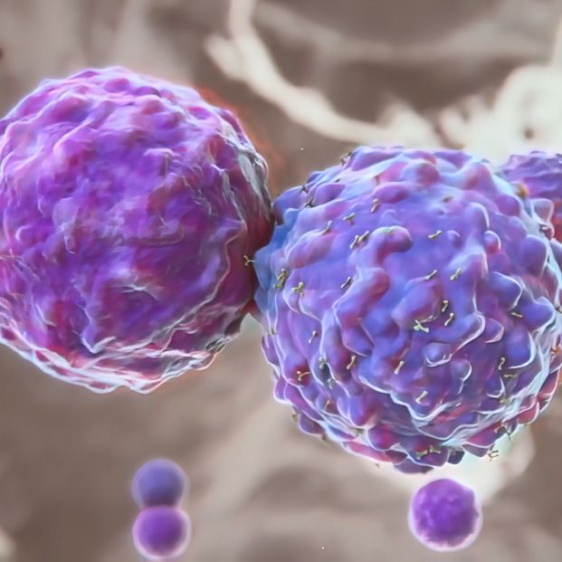 Un nuevo estudio demuestra que es posible retrasar el envejecimiento. Foto: Bigstock