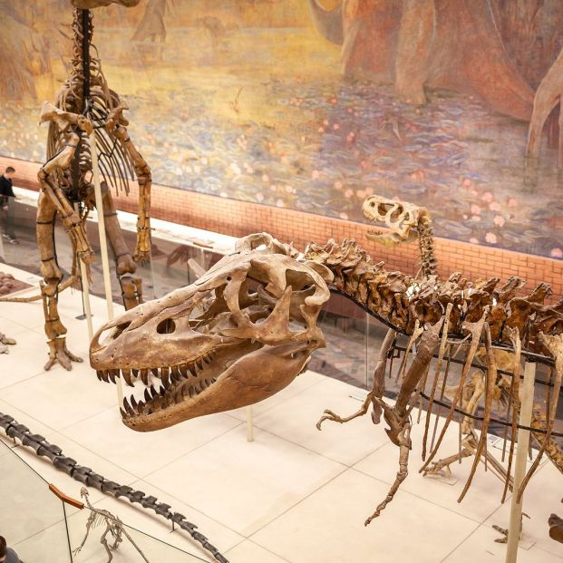 bigstockMoscow Russia Y 467182705