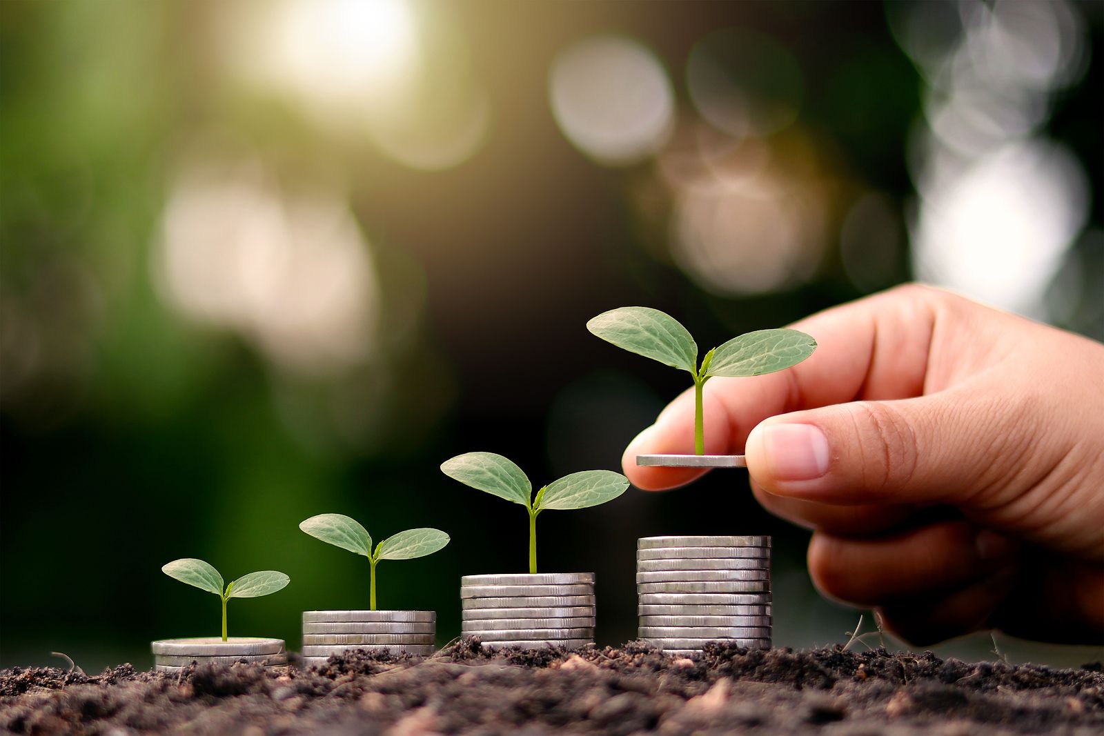 Los agricultores de la Región de Murcia tendrán otra fuente de ingresos con los créditos de carbono