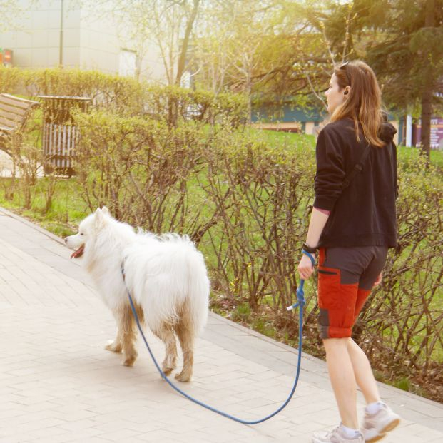 bigstock Dog Walking Walk Of Man And D 455473957 bigstock Dog Walking Walk Of Man And D 455473957