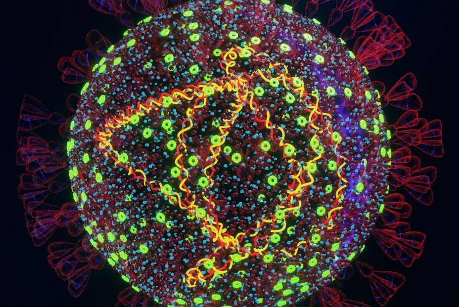 bigstock Mutated Omicron Sars covVir 452967825