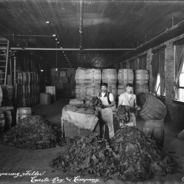Tampa. Tabaqueros españoles preparando el tabaco en Cuesta Rey & Company Tampa. Tabaqueros españoles preparando el tabaco en Cuesta Rey & Company