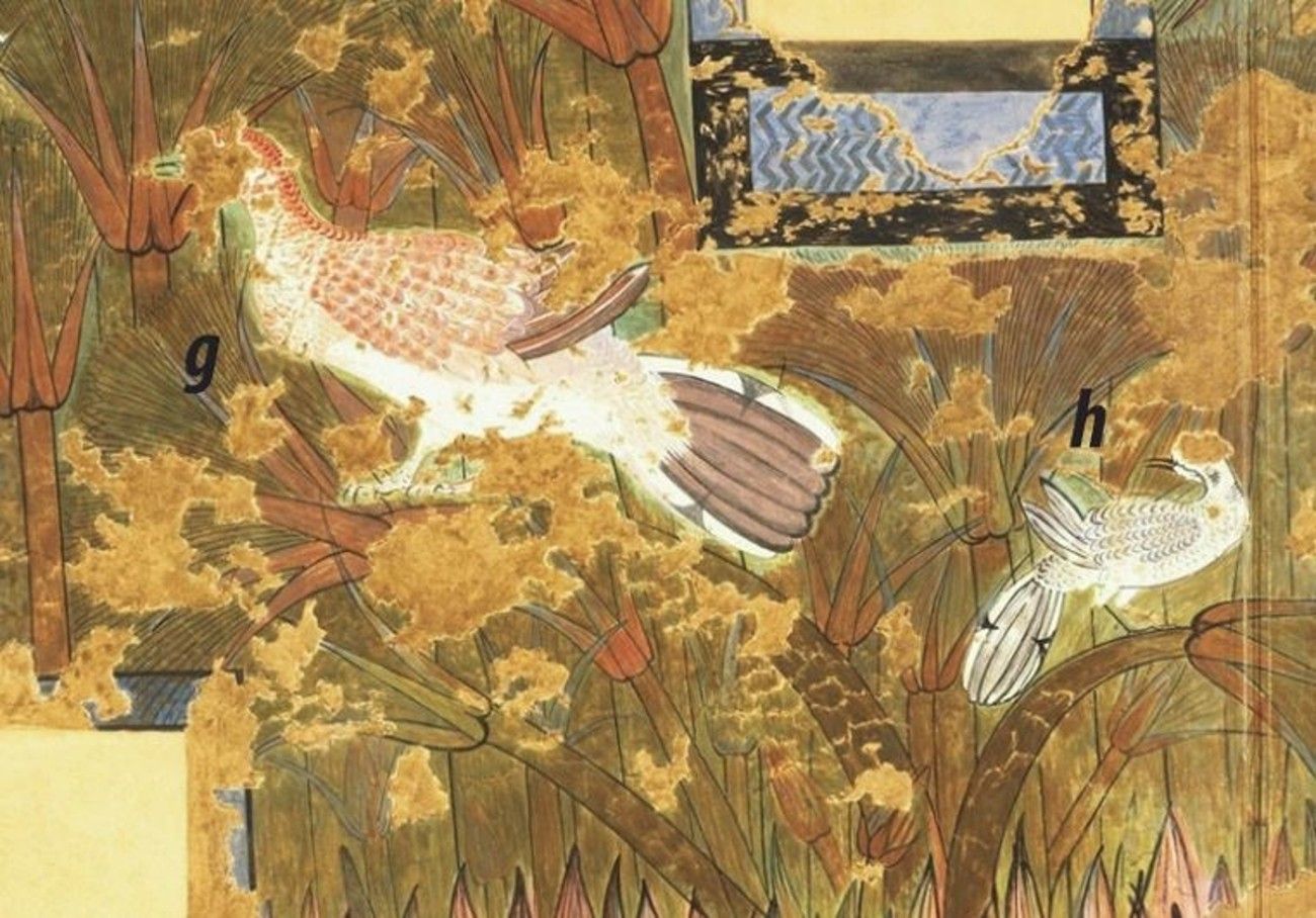 Revelan detalles ocultos de las pinturas egipcias