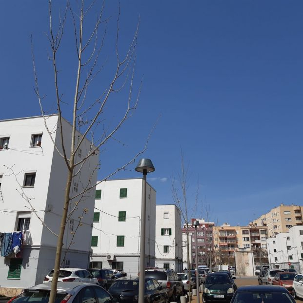 Encuentran a una pareja de octogenarios muertos en su casa que podrían haberse suicidado. Foto: Europa Press Encuentran a una pareja de octogenarios muertos en su casa que podrían haberse suicidado. Foto: Europa Press