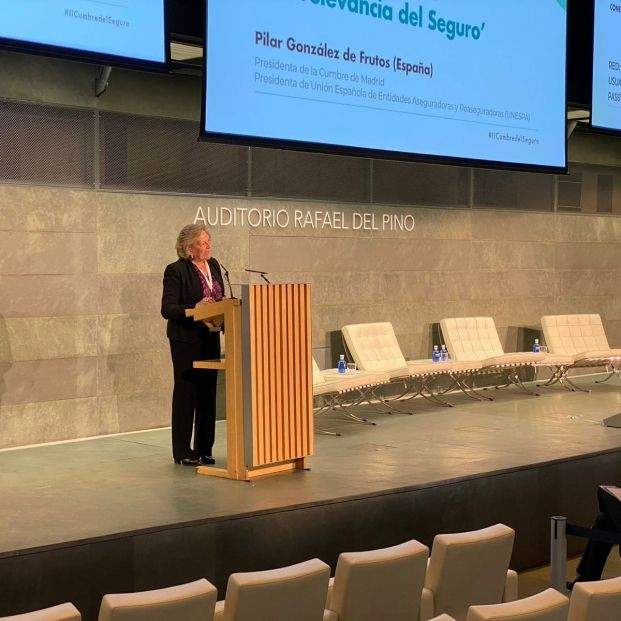 EuropaPress 4815522 presidenta unespa pilar gonzalez frutos EuropaPress 4815522 presidenta unespa pilar gonzalez frutos