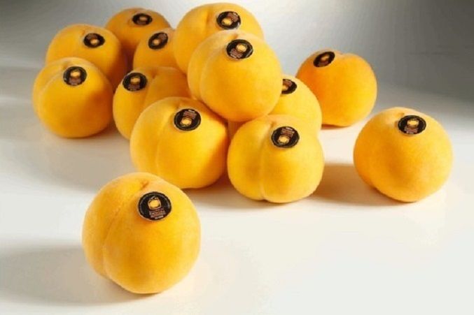 El Melocotón de Calanda con Denominación de Origen ahora se convierte en un helado gourmet. Foto:Europa Press El Melocotón de Calanda con Denominación de Origen ahora se convierte en un helado gourmet. Foto:Europa Press