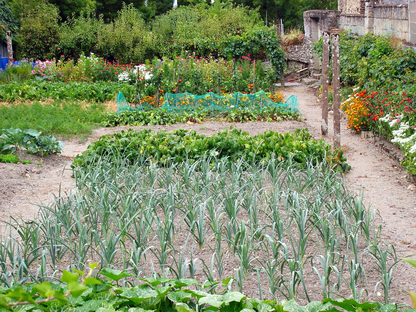 ¿Qué requisitos deben cumplir los restaurantes ecológicos?