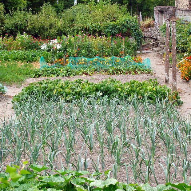 ¿Qué requisitos deben cumplir los restaurantes ecológicos?