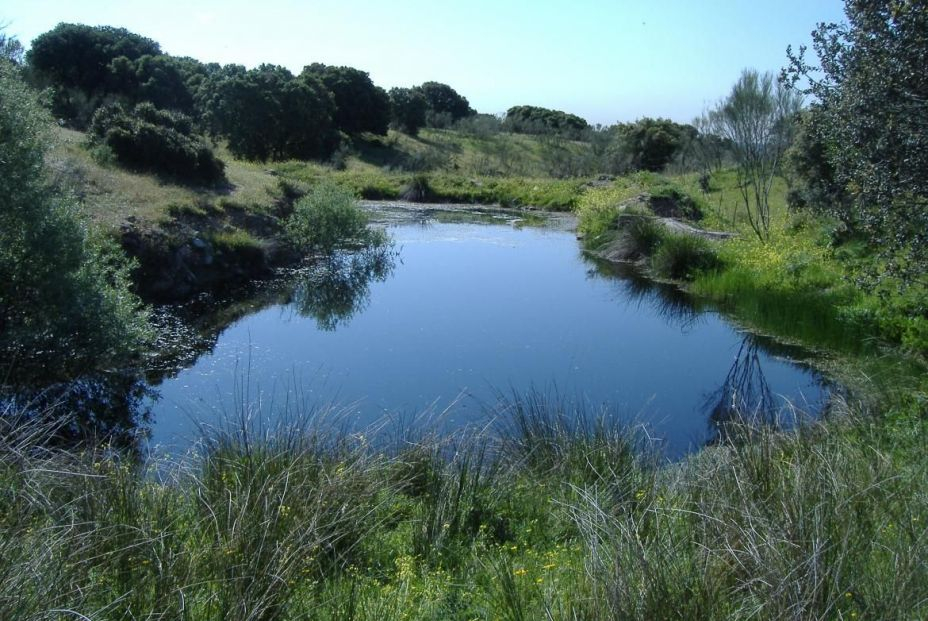 cma parque regional foto comunidad de madrid cma parque regional foto comunidad de madrid