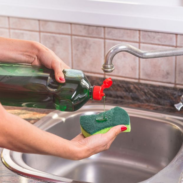 Tu estropajo usado es un arma contra las bacterias resistentes a antibióticos