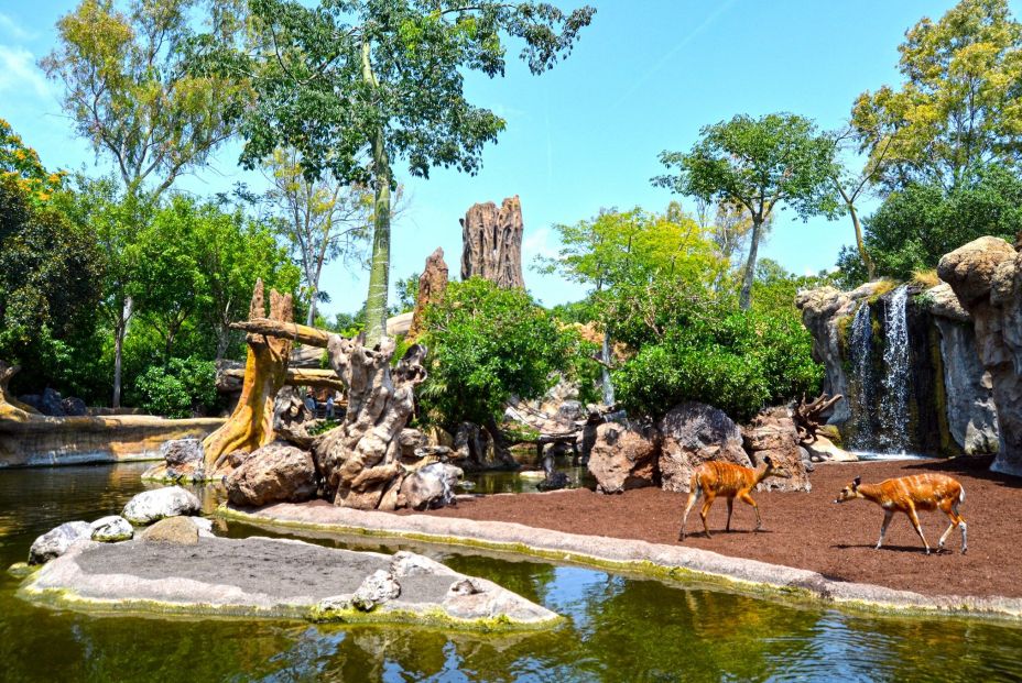 Bioparc de Valencia Bioparc de Valencia