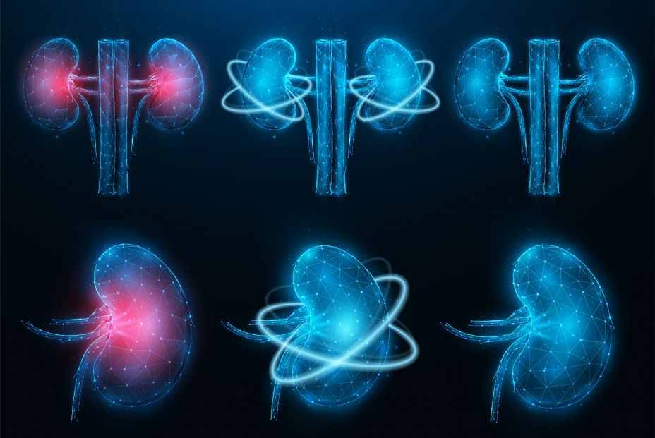 bigstock Set Of Polygonal Vector Illust 460963885 bigstock Set Of Polygonal Vector Illust 460963885