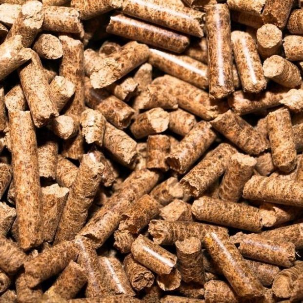 Pellets, un 67% más caros a pesar de la rebaja del IVA. Foto: Europa Press Pellets, un 67% más caros a pesar de la rebaja del IVA. Foto: Europa Press