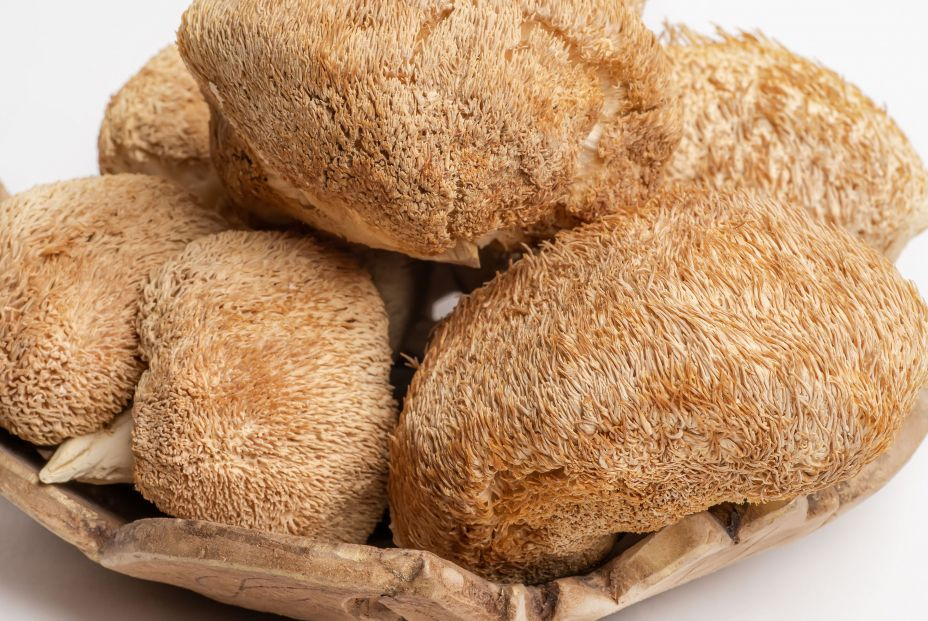 bigstock Dried Lions Mane Mushrooms Or442787153