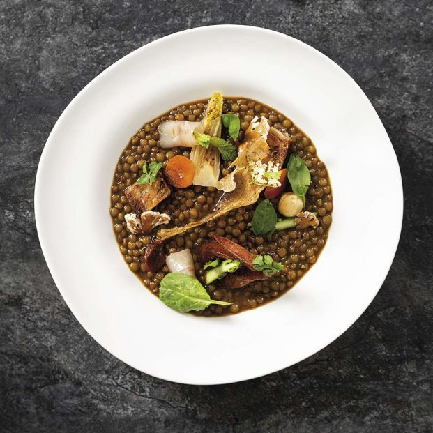 Receta de lentejas estofadas tradicionales, y una versión gourmet deliciosa, con compango y verduras Receta de lentejas estofadas tradicionales, y una versión gourmet deliciosa, con compango y verduras