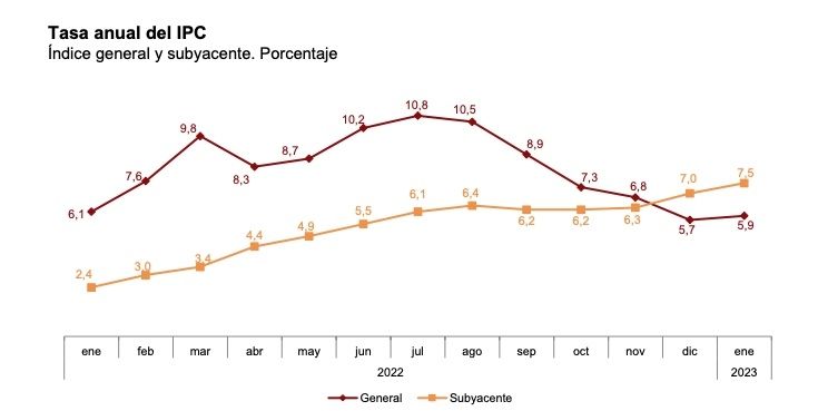 tasa anual ipc enero 2023