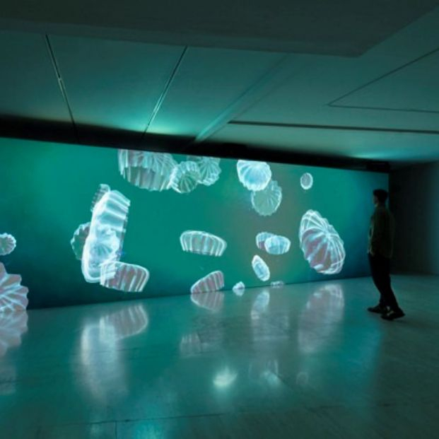 Imagen de la instalación inmersiva Imagen de la instalación inmersiva