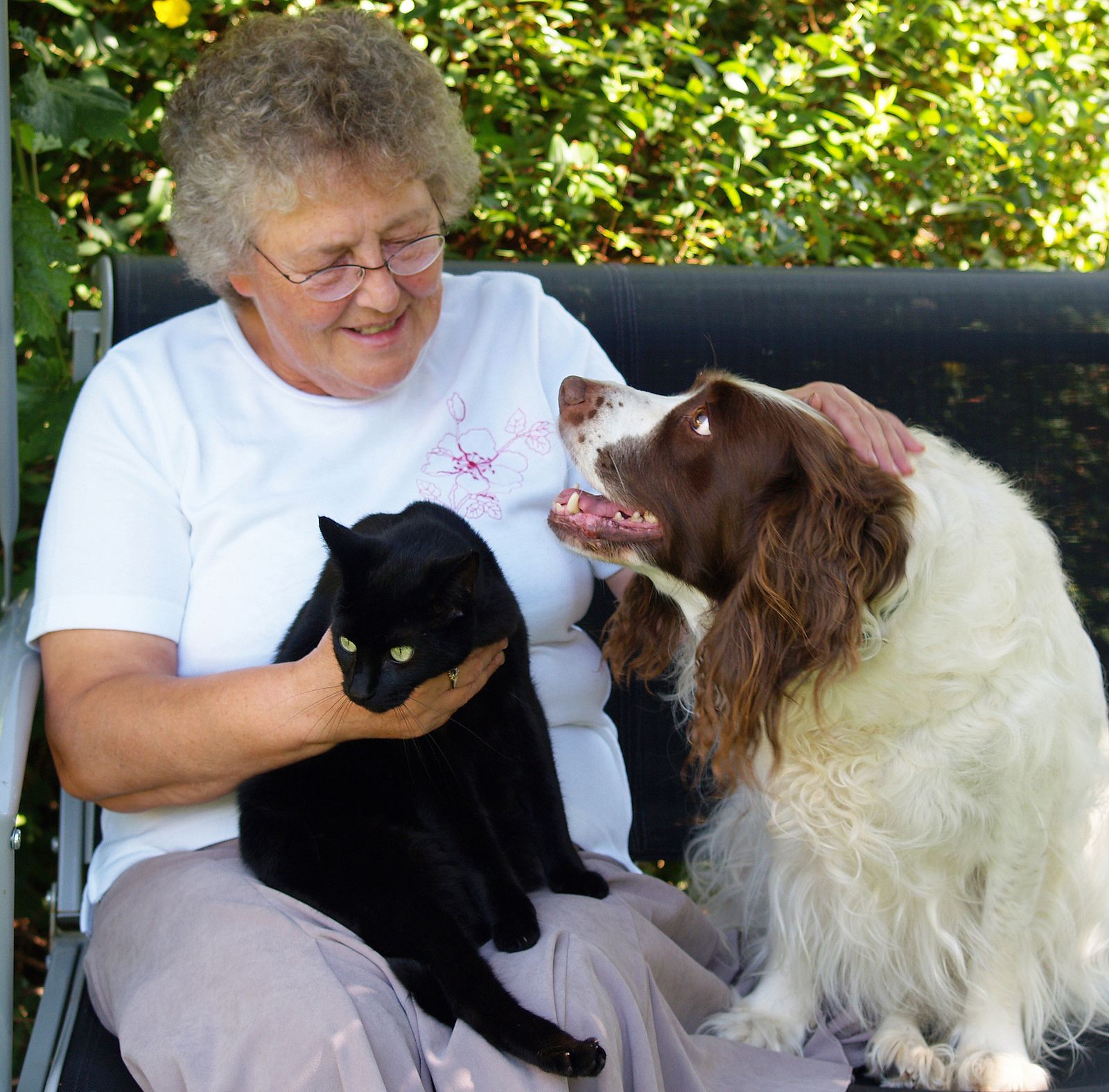 Se abre en Málaga el primer cementerio público de mascotas en España