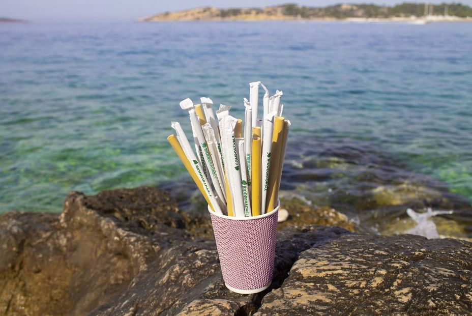 Alternativas a las pajitas de plástico Alternativas a las pajitas de plástico