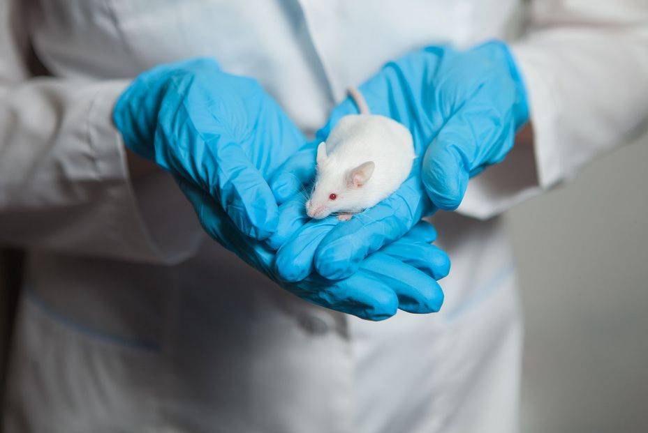 Ratón de laboratorio Ratón de laboratorio