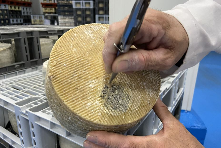 EuropaPress 3624224 queso madurando moho camara maduracion fabrica don apolonio malagon ciudad