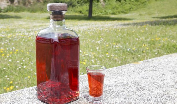 Pacharán, el licor de endrinas maceradas en aguardiente anisado. bigstock 