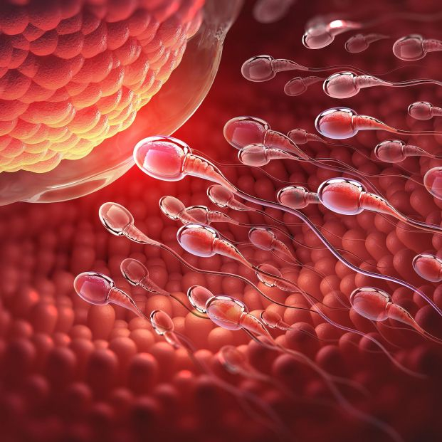 Hasta 1 de cada 6 personas a nivel mundial sufre infertilidad, según la OMS
