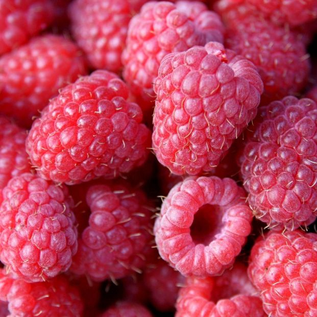 Frambuesas Frambuesas