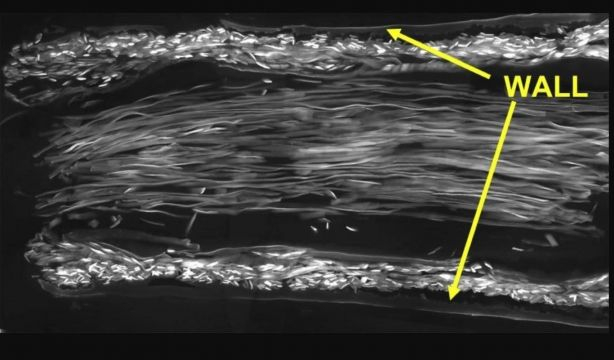 Imagen microscopio electrínico barrido sección longitudinal a través del conducto Imagen microscopio electrínico barrido sección longitudinal a través del conducto