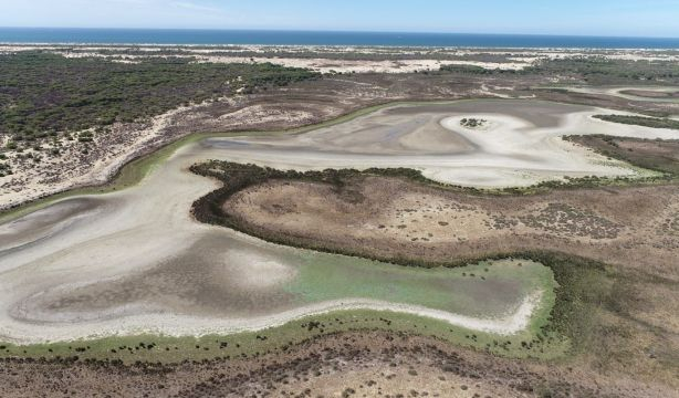 Doñana, "en estado crítico": "Más de la mitad de sus lagunas han desaparecido"