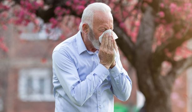 La Tarjeta Sanitaria Virtual de Madrid incorpora información sobre los niveles de polen