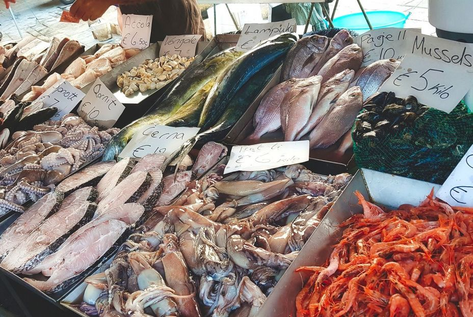 bigstock Varied Fresh Fish And Seafood282450010