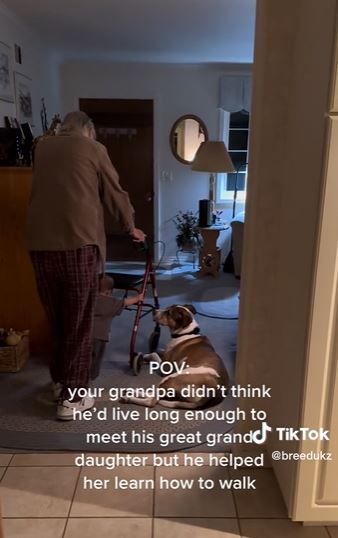 VÍDEO: El tierno momento en que un abuelo de 88 años ayuda a su bisnieta de 14 meses a caminar. Foto: TikTok VÍDEO: El tierno momento en que un abuelo de 88 años ayuda a su bisnieta de 14 meses a caminar. Foto: TikTok