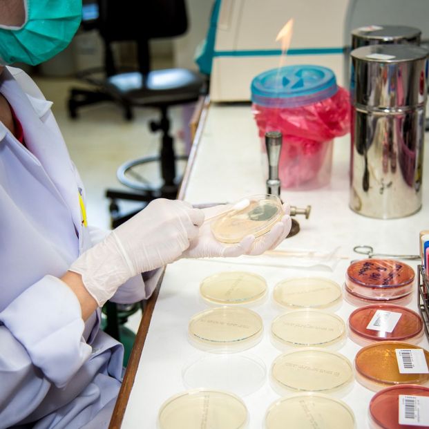 Septicemia Septicemia