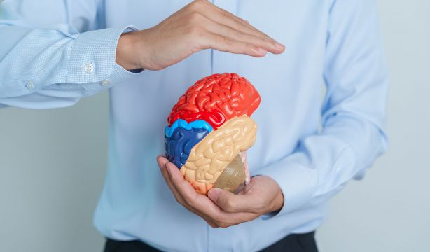 Se abre la puerta a terapias para trastornos cognitivos basadas en cambios de dieta. Foto: Bigstock