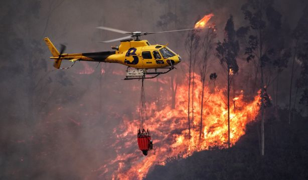 ¿Qué hacemos con los incendios?