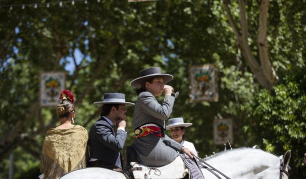 Papas aliñás, pescaito frito, rebujito...: comida y bebida imprescindible de la Feria de Abril
