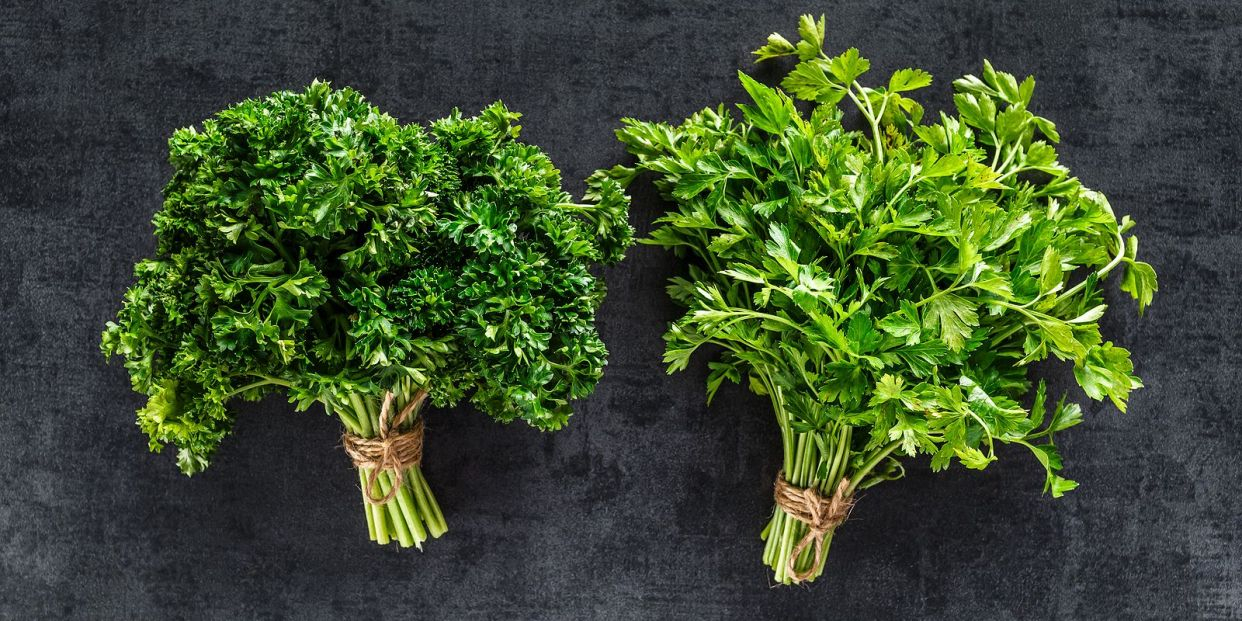 Vitamina K: ¿qué es y cuáles son sus beneficios?